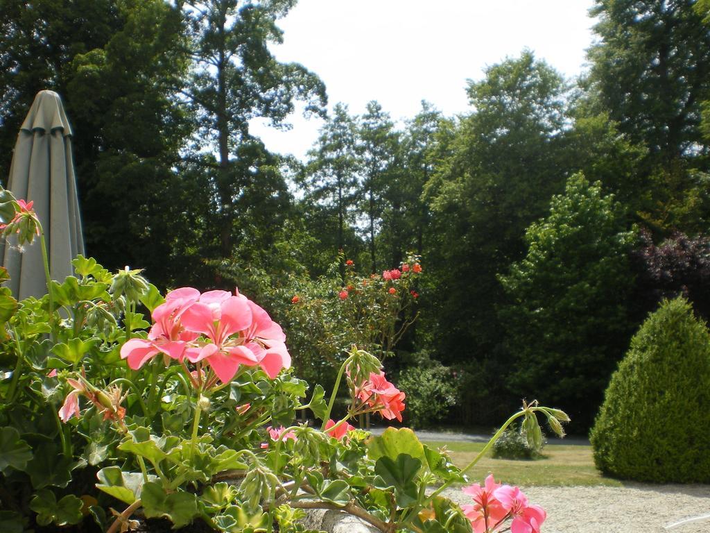 Chateau Baffy Colombiers-sur-Seulles エクステリア 写真
