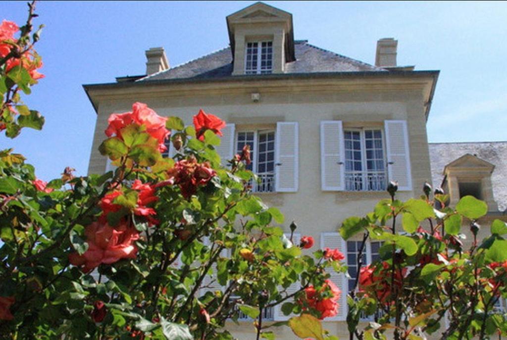 Chateau Baffy Colombiers-sur-Seulles エクステリア 写真